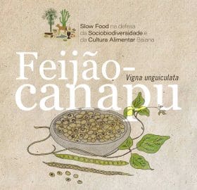 feijao-canapu