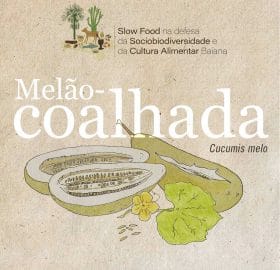 melao-coalhada